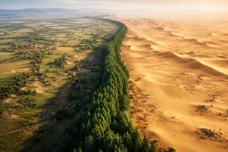 Zelená velká zeď mění sever Číny. Nejtěžší část projektu teprve přichází